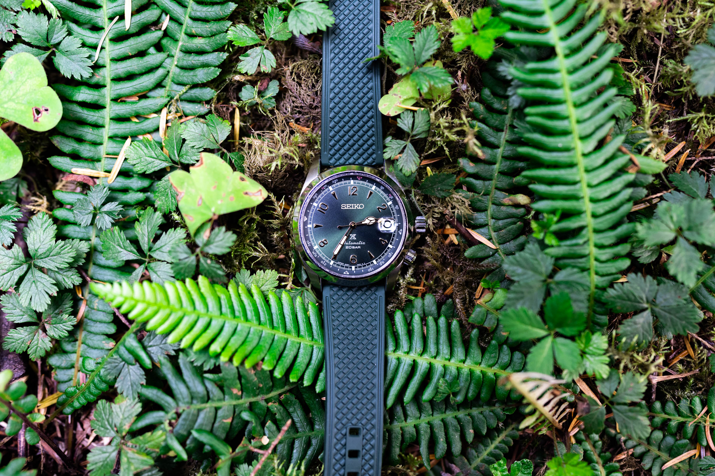 A watch laid out among ferns and lichens